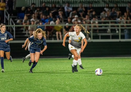 Players in Action 1